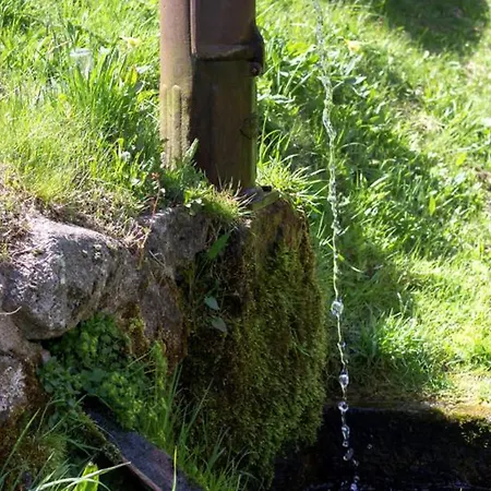 Authentique Avec Cheminée, Animaux Admis Et Wifi En Bordure De Forêt - Fr-1-496-127 La Versanne